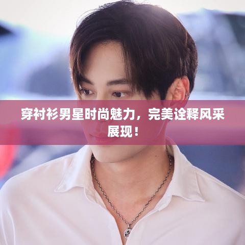 穿襯衫男星時尚魅力，完美詮釋風采展現(xiàn)！