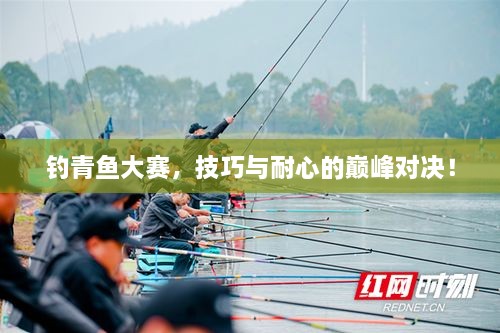 釣青魚大賽，技巧與耐心的巔峰對決！