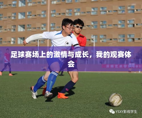 足球賽場上的激情與成長，我的觀賽體會