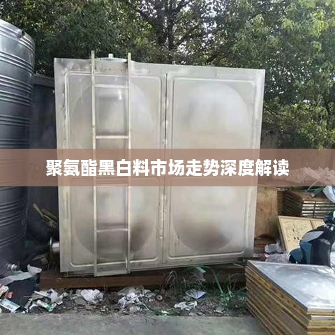 初告白 第2頁