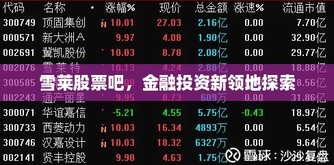 雪萊股票吧，金融投資新領(lǐng)地探索