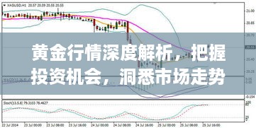 黃金行情深度解析，把握投資機(jī)會(huì)，洞悉市場(chǎng)走勢(shì)