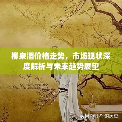 柳泉酒價格走勢，市場現狀深度解析與未來趨勢展望