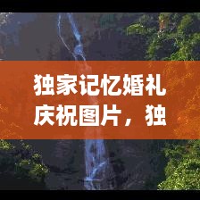 獨家記憶婚禮慶祝圖片，獨家記憶圖片唯美 