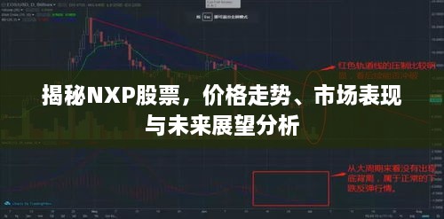 揭秘NXP股票，價格走勢、市場表現(xiàn)與未來展望分析