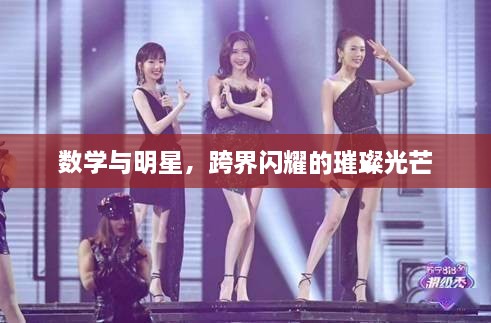 數(shù)學與明星，跨界閃耀的璀璨光芒