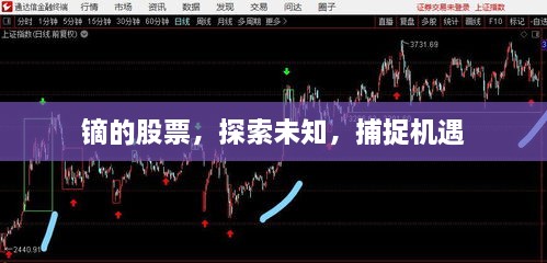 鏑的股票，探索未知，捕捉機遇