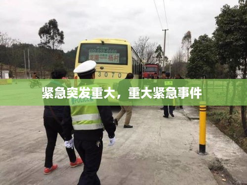 緊急突發(fā)重大，重大緊急事件 