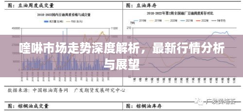 喹啉市場(chǎng)走勢(shì)深度解析，最新行情分析與展望