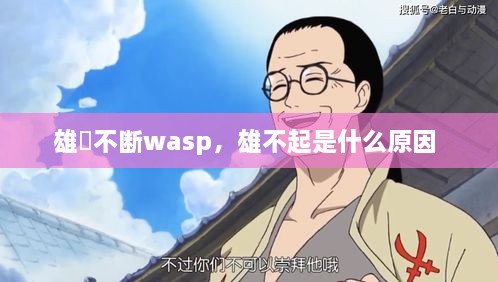 雄獣不斷wasp，雄不起是什么原因 
