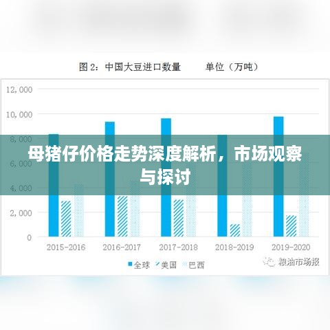 母豬仔價格走勢深度解析，市場觀察與探討