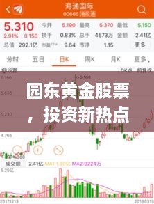 園東黃金股票，投資新熱點(diǎn)，財(cái)富新選擇