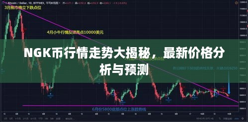 NGK幣行情走勢大揭秘，最新價(jià)格分析與預(yù)測
