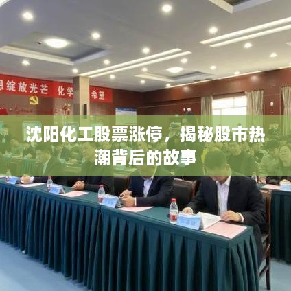 沈陽(yáng)化工股票漲停，揭秘股市熱潮背后的故事