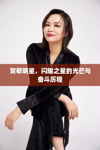 賀敏明星，閃耀之星的光芒與奮斗歷程