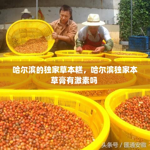 哈爾濱的獨家草本糕，哈爾濱獨家本草膏有激素嗎 