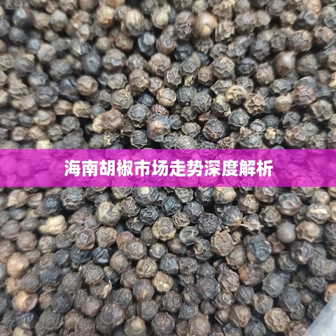 海南胡椒市場(chǎng)走勢(shì)深度解析