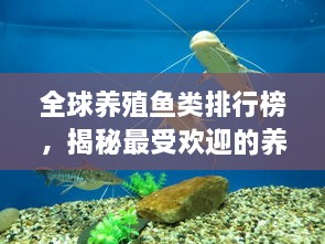 全球養(yǎng)殖魚類排行榜，揭秘最受歡迎的養(yǎng)殖魚類種類！