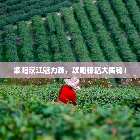 紫陽漢江魅力游，攻略秘籍大揭秘！
