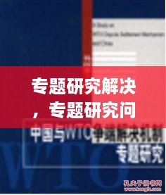 專題研究解決，專題研究問題 