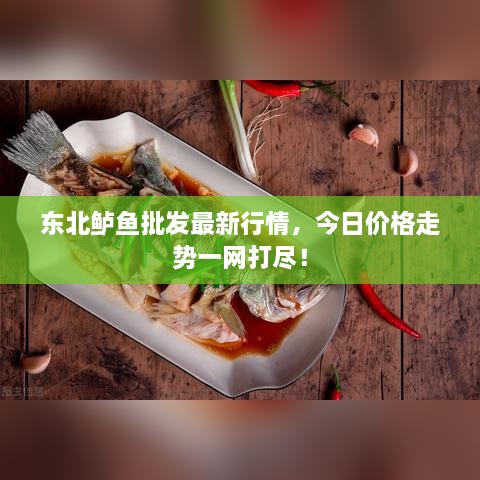 東北鱸魚批發(fā)最新行情，今日價格走勢一網(wǎng)打盡！