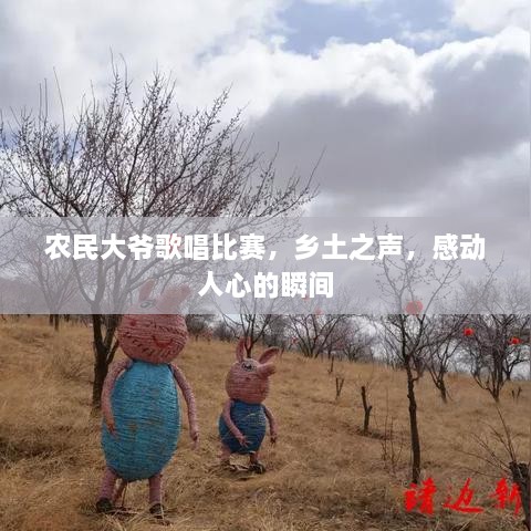 農(nóng)民大爺歌唱比賽，鄉(xiāng)土之聲，感動(dòng)人心的瞬間