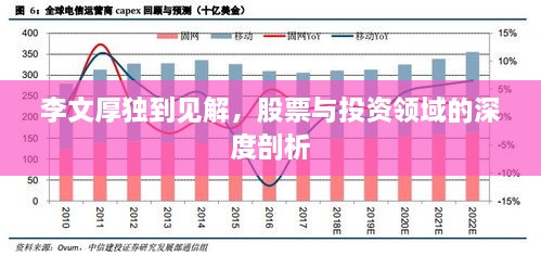 李文厚獨(dú)到見解，股票與投資領(lǐng)域的深度剖析