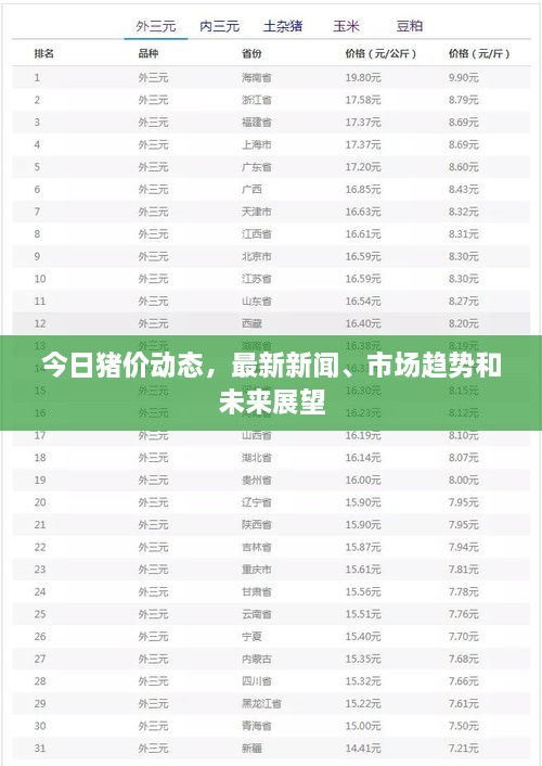 今日豬價(jià)動(dòng)態(tài)，最新新聞、市場(chǎng)趨勢(shì)和未來(lái)展望