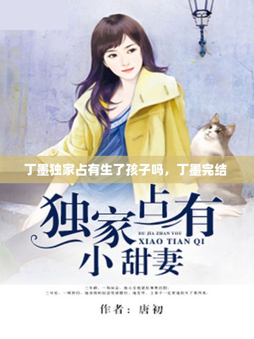 丁墨獨家占有生了孩子嗎，丁墨完結 