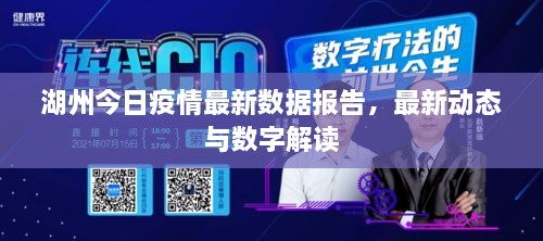 湖州今日疫情最新數(shù)據(jù)報告，最新動態(tài)與數(shù)字解讀