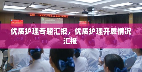 優(yōu)質(zhì)護理專題匯報，優(yōu)質(zhì)護理開展情況匯報 