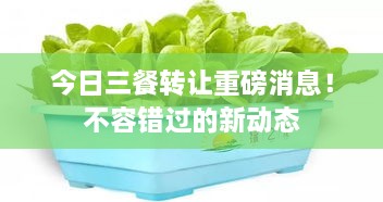 今日三餐轉讓重磅消息！不容錯過的新動態(tài)