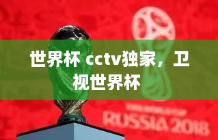 世界杯 cctv獨(dú)家，衛(wèi)視世界杯 