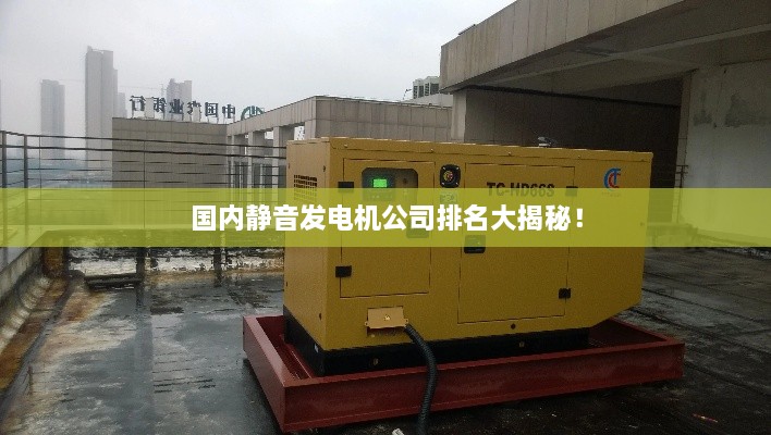 國內(nèi)靜音發(fā)電機公司排名大揭秘！