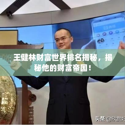 王健林財(cái)富世界排名揭秘，揭秘他的財(cái)富帝國！