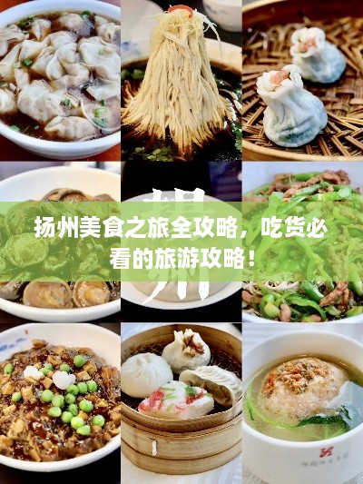 揚州美食之旅全攻略，吃貨必看的旅游攻略！