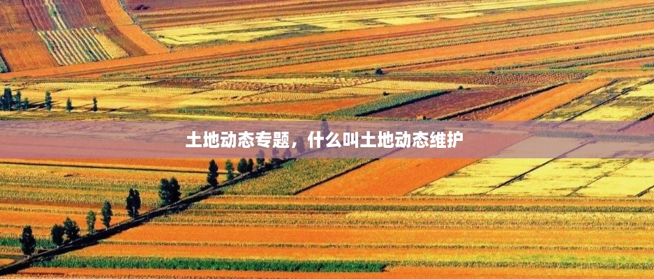 土地動態(tài)專題，什么叫土地動態(tài)維護(hù) 