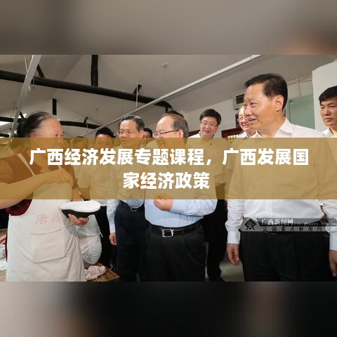 廣西經(jīng)濟(jì)發(fā)展專題課程，廣西發(fā)展國(guó)家經(jīng)濟(jì)政策 