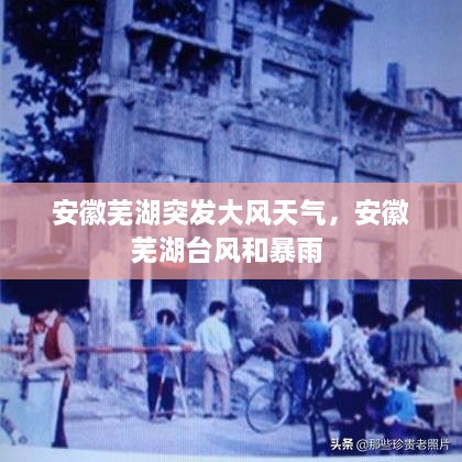 安徽蕪湖突發(fā)大風(fēng)天氣，安徽蕪湖臺(tái)風(fēng)和暴雨 