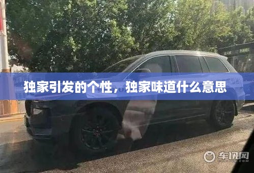 獨(dú)家引發(fā)的個(gè)性，獨(dú)家味道什么意思 