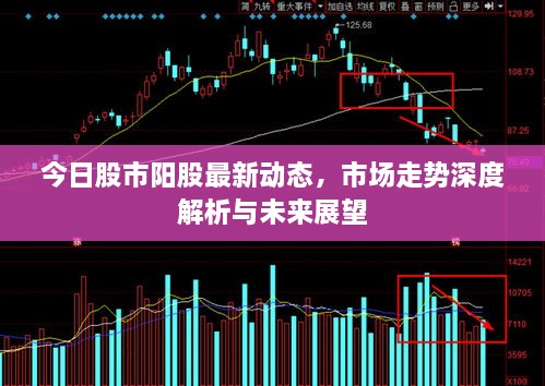 今日股市陽股最新動(dòng)態(tài)，市場(chǎng)走勢(shì)深度解析與未來展望