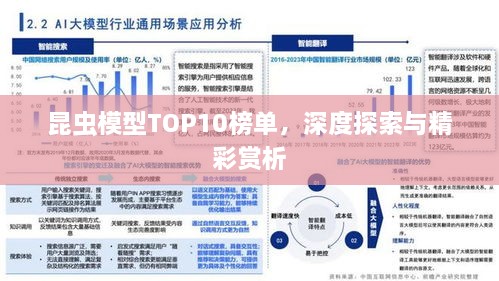 昆蟲模型TOP10榜單，深度探索與精彩賞析