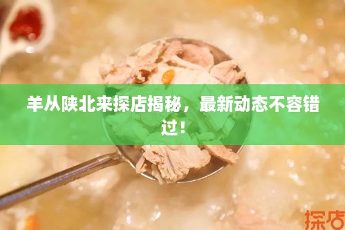 羊從陜北來探店揭秘，最新動態(tài)不容錯過！