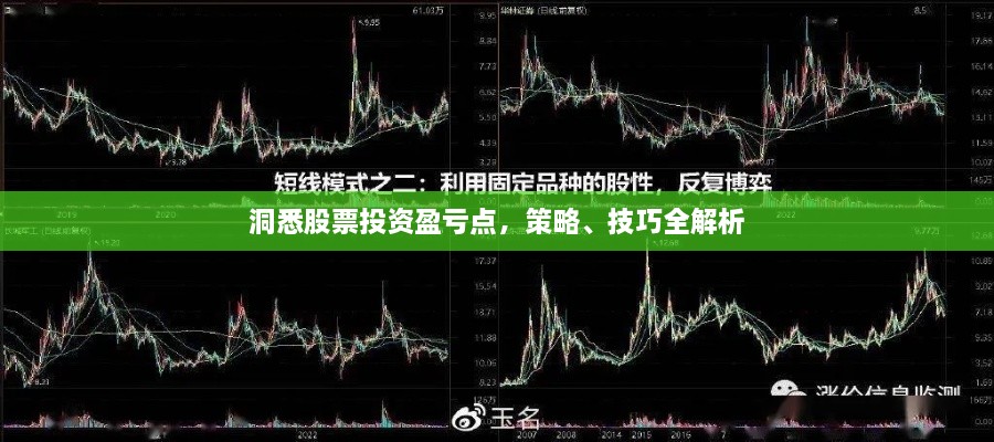 洞悉股票投資盈虧點，策略、技巧全解析