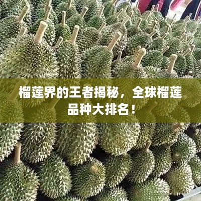 榴蓮界的王者揭秘，全球榴蓮品種大排名！