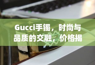 Gucci手鐲，時(shí)尚與品質(zhì)的交融，價(jià)格揭秘！