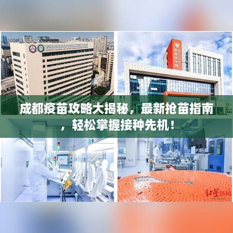 成都疫苗攻略大揭秘，最新?lián)屆缰改?，輕松掌握接種先機！