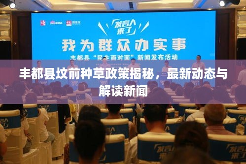 豐都縣墳前種草政策揭秘，最新動(dòng)態(tài)與解讀新聞