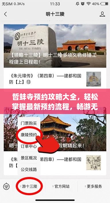 哲蚌寺預(yù)約攻略大全，輕松掌握最新預(yù)約流程，暢游無阻！