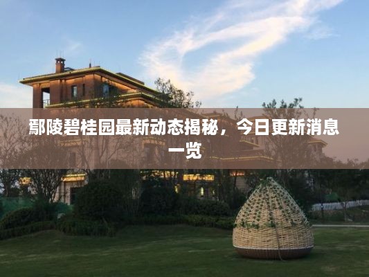 鄢陵碧桂園最新動態(tài)揭秘，今日更新消息一覽